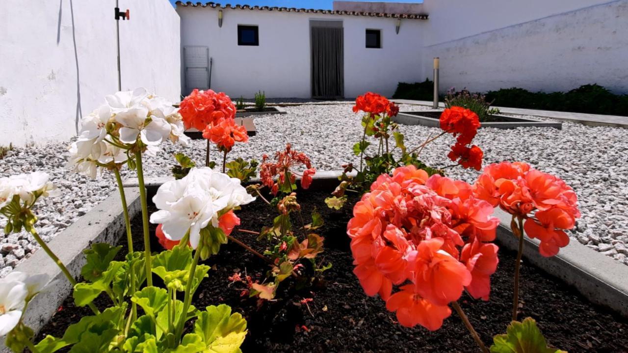 Casa Dos Vizinhos - Casas De Taipa Vila São Pedro do Corval Exterior foto